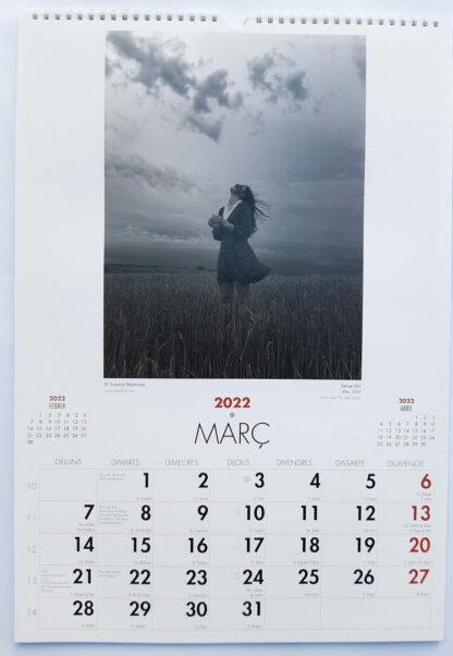 Detalle de calendario de pared Arts Fugit