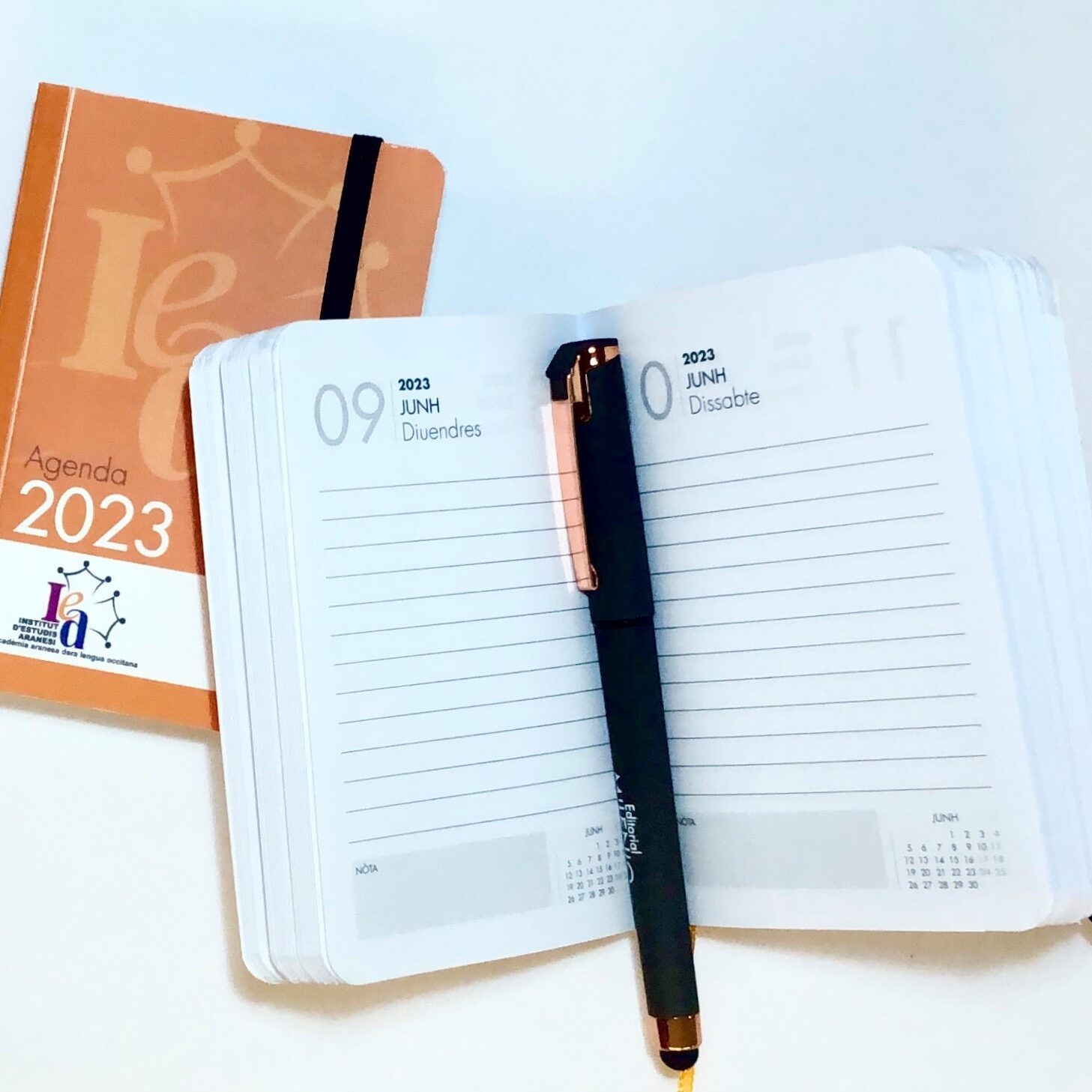 Agendas personalizadas