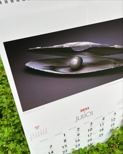 Página interior del calendario Arts Fugit 2025 de Pages editors dedicado al famoso ilustrador Ermengol